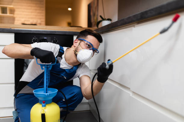 Best Affordable Pest Control Services  in Cherokee, IA