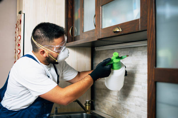 Best Mosquito Control Services  in Cherokee, IA