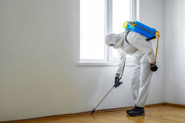 Best Best Pest Control Companies  in Cherokee, IA