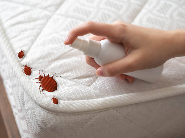 Professional Pest Control in Cherokee, IA