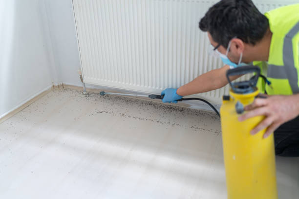 Best Bed Bug Extermination  in Cherokee, IA