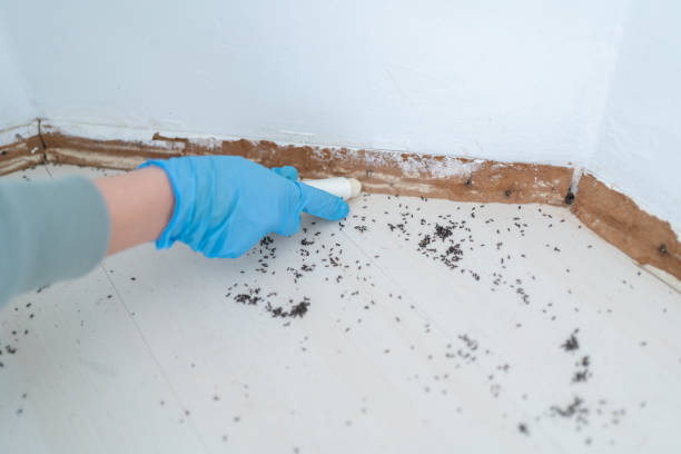 Best Wildlife Control Services  in Cherokee, IA