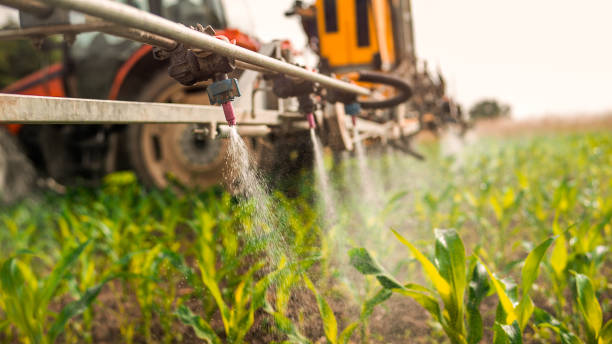 Best Pest Removal Services  in Cherokee, IA